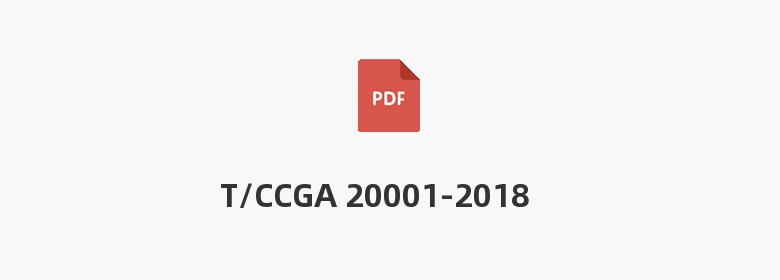 T/CCGA 20001-2018